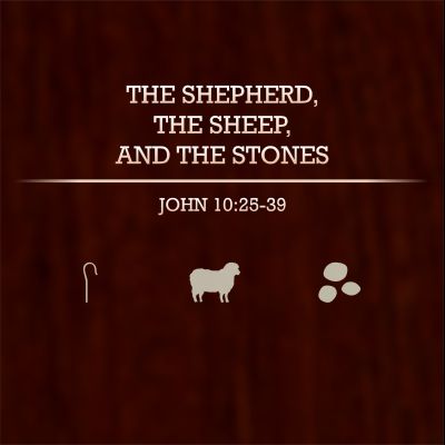The Shepherd, the Sheep & the Stones